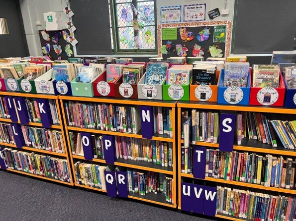 Books on a library shelf